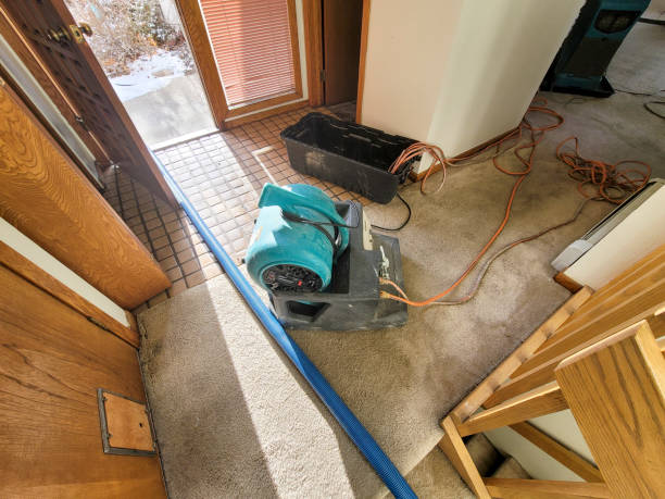 Best Water damage contractors near me  in New Canaan, CT