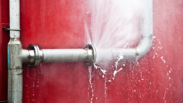Best Local water damage restoration  in New Canaan, CT