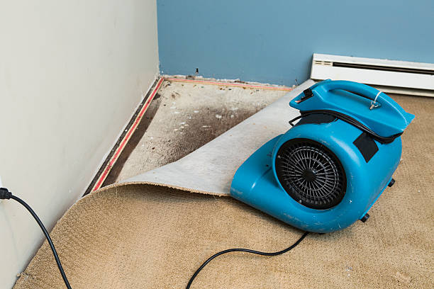 Best Local water damage restoration  in New Canaan, CT